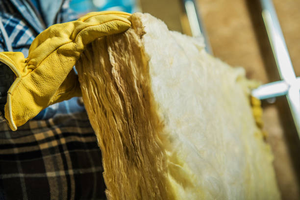 Omaha, TX Insulation Contractor Pros